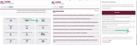 citas en lnea puebla licencia|Citas en Línea